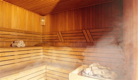 tema gay sauna|Tampa Gay Saunas and Bathhouses Guide 2025